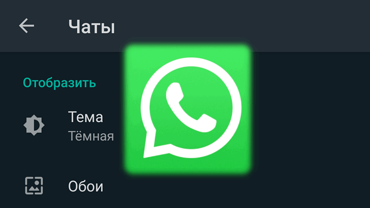 WhatsApp. Темная тема, наконец, появилась в бета-версии приложения