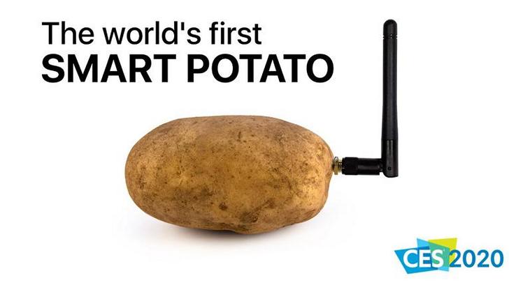 Пятничное. Первая в мире… умная картошка представлена на выставке CES 2020
