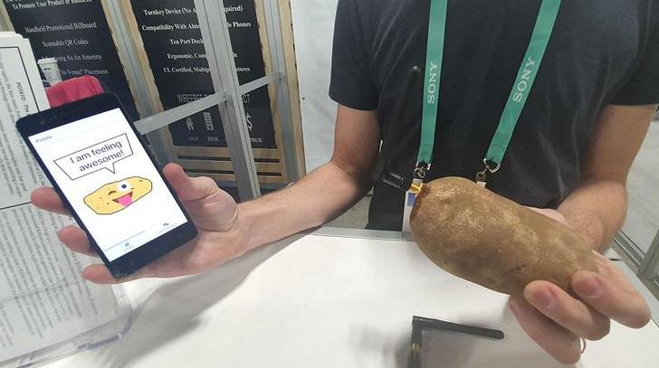 Пятничное. Первая в мире… умная картошка представлена на выставке CES 2020