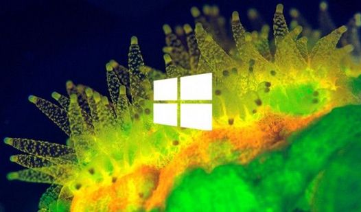 В утечке обновления Windows 8.1 была найдена новая функция управления местом на диске.