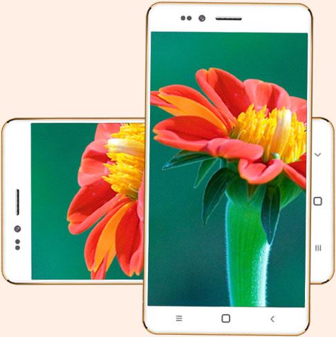 Ringing Bells Freedom 251. Смартфон, который стоит всего лишь $3.66