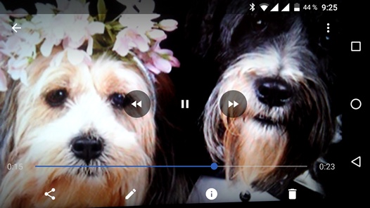 Программы для Android. Google Фото обновилось до версии 1.16 получив кнопки быстрой перемотки во встроенном видеоплеере (Скачать APK)