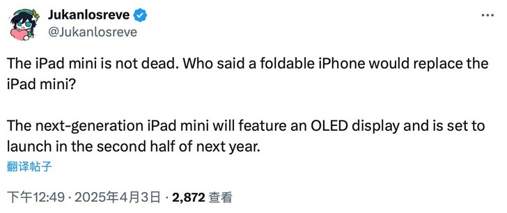 iPad mini