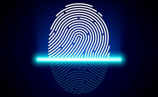Windows 10 Mobile вскоре получит поддержку сканеров отпечатков пальцев