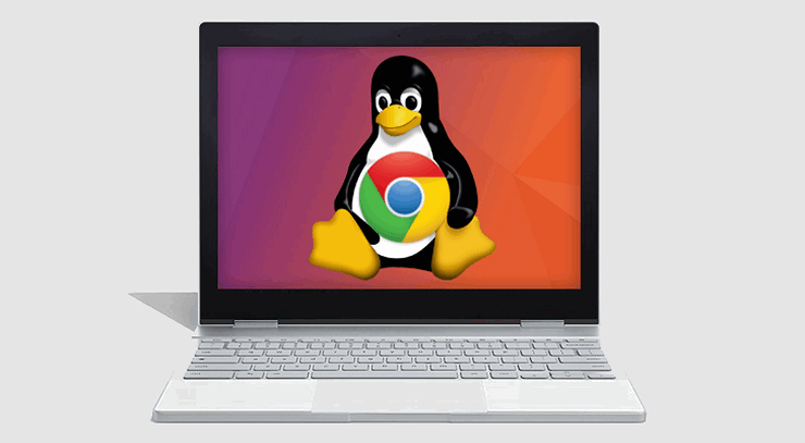 Возможность запуска Linux приложений на хромбуках появилась в Chrome OS Dev channel
