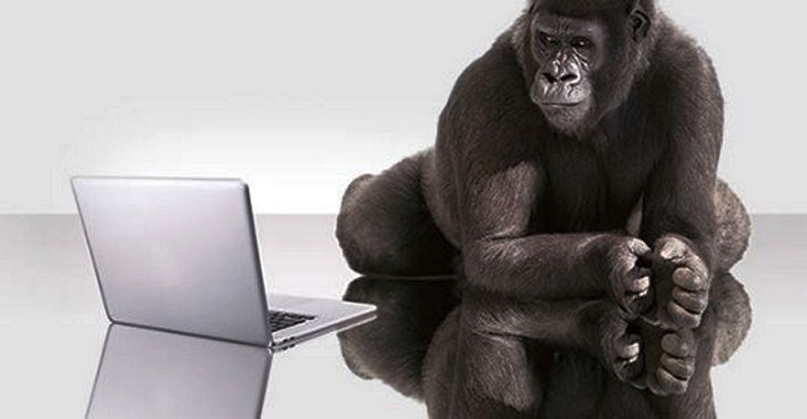 Corning начинает выпуск Astra Glass: аналог стекла Gorilla Glass для планшетов, ноутбуков и телевизоров Corning начинает выпуск Astra Glass: аналог стекла Gorilla Glass для планшетов, ноутбуков и телевизоров