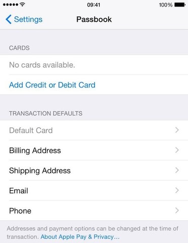 iPad Air 2 с функцией Apple Pay и сканером отпечатков плальцев Touch ID на подходе. Но есть ли в них смысл?
