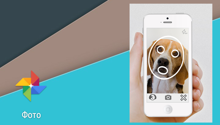 Google Фото обновилось до версии 3.6. Вскоре приложение сможет самостоятельно определять домашних животных, делать «живые» фото и пр.