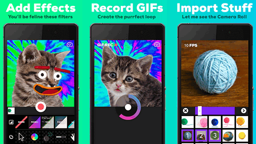 Новые программы для мобильных. Giphy Cam: создавай анимированные GIF-ки с помощью камеры своего Android смартфона (Скачать APK)