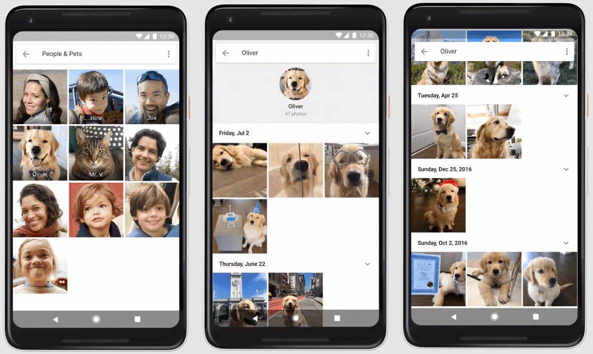 Приложения для мобильных. Google Фото научилось распознавать фотографии с животными и группировать их