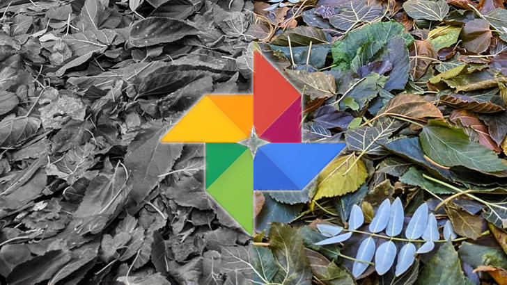 Приложения для мобильных. Google Фото, наконец, получило давно обещанную функцию Colorize для автоматической раскраски черно-белых фото (Бета)