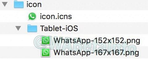 WhatsApp мессенджер вскоре станет доступен владельцам планшетов iPad