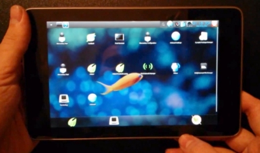 Bodhi Linux для планшета Nexus 7 