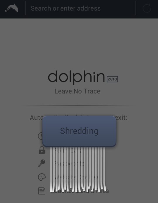 Программы для Android. Dolphin Zero сохранит ваши персональные данные и сведения о пребывании в Сети в полной неприкосновенности